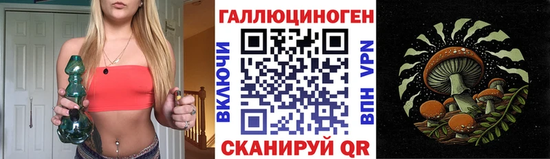 Псилоцибиновые грибы Psilocybine cubensis  Барыш 